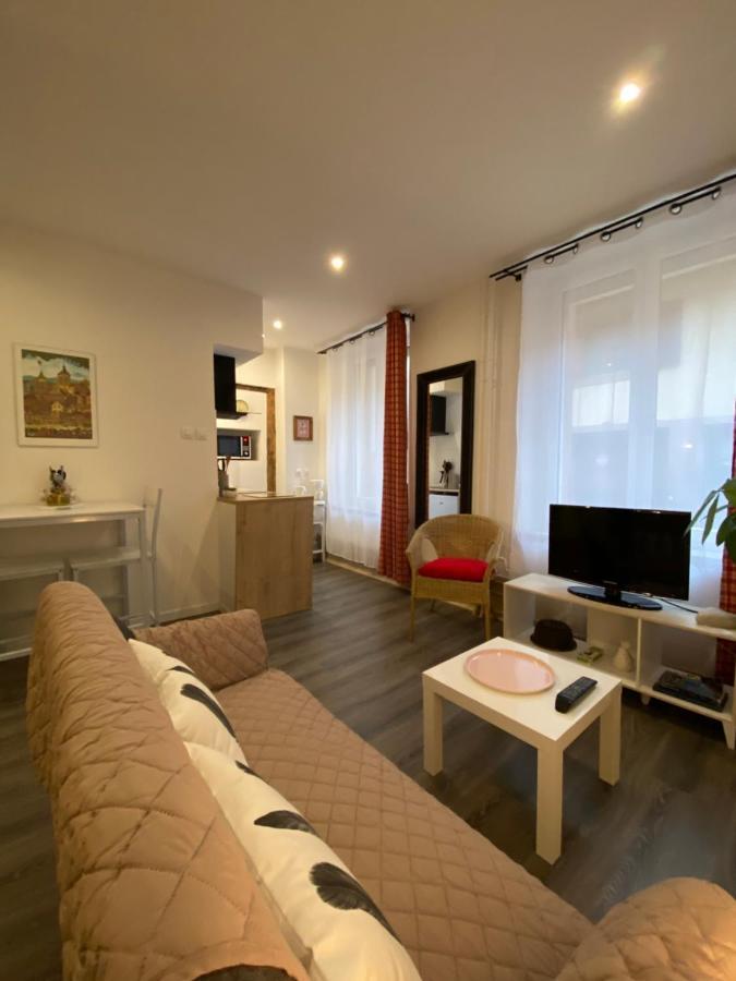 L'Ours De Colmar - Appartements En Centre Ville Экстерьер фото