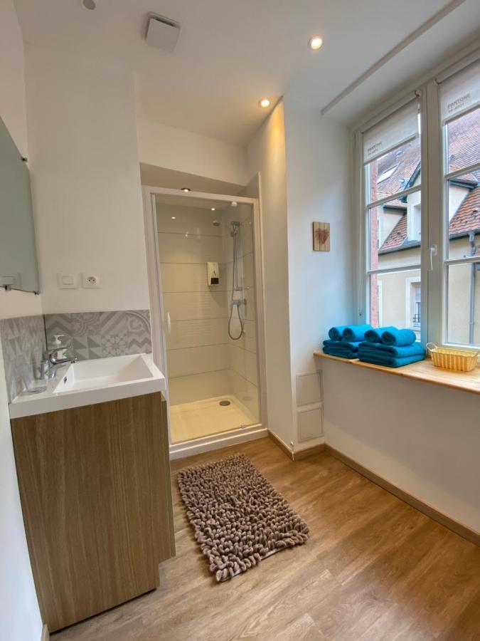 L'Ours De Colmar - Appartements En Centre Ville Экстерьер фото
