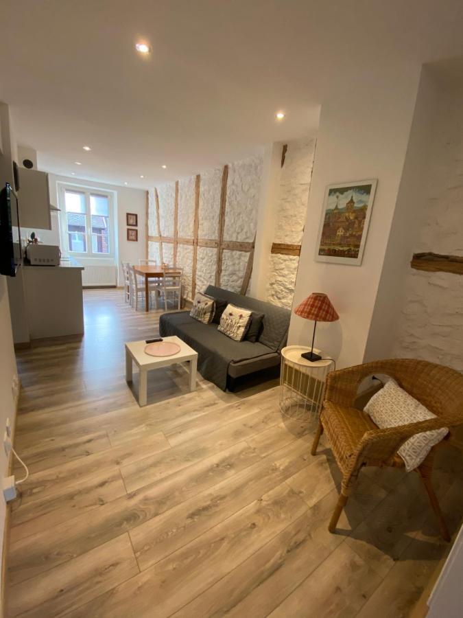 L'Ours De Colmar - Appartements En Centre Ville Экстерьер фото