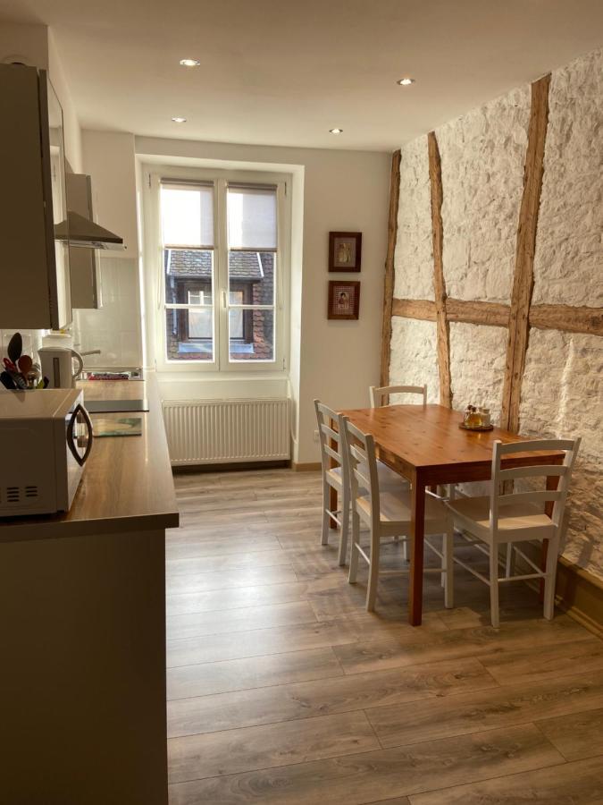 L'Ours De Colmar - Appartements En Centre Ville Экстерьер фото