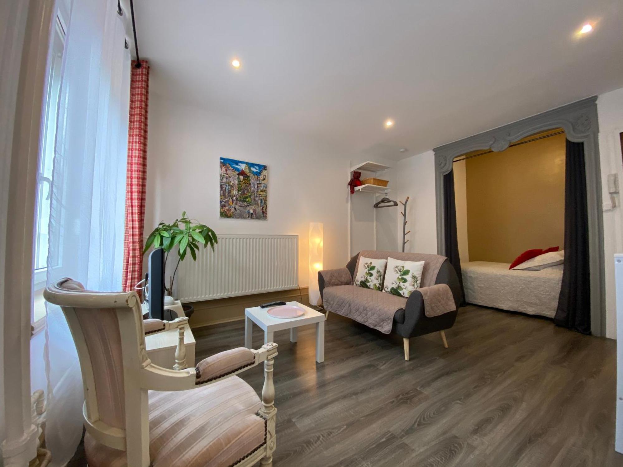 L'Ours De Colmar - Appartements En Centre Ville Экстерьер фото