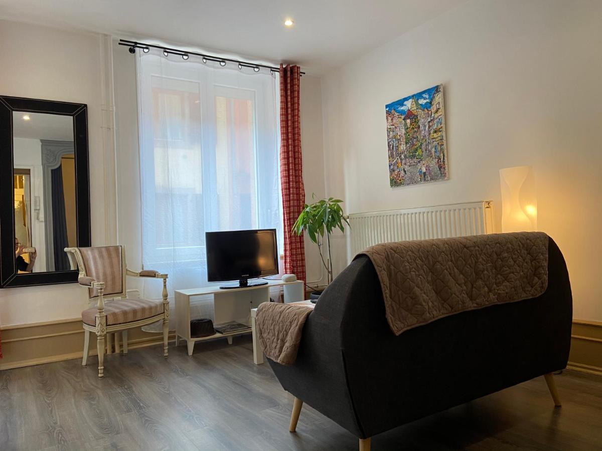 L'Ours De Colmar - Appartements En Centre Ville Экстерьер фото