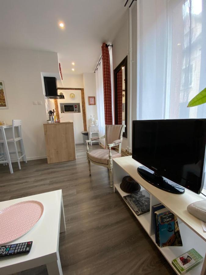 L'Ours De Colmar - Appartements En Centre Ville Экстерьер фото