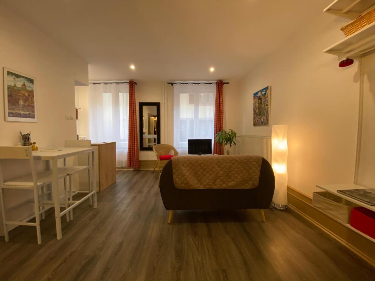 L'Ours De Colmar - Appartements En Centre Ville Экстерьер фото