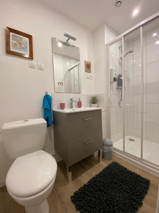 L'Ours De Colmar - Appartements En Centre Ville Экстерьер фото