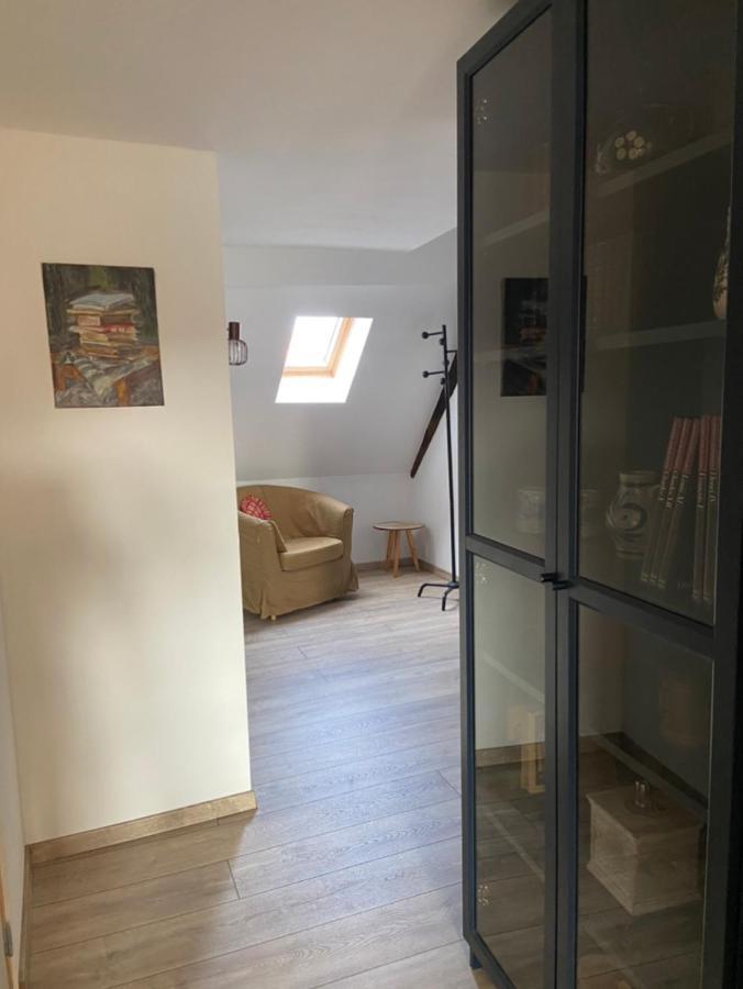 L'Ours De Colmar - Appartements En Centre Ville Экстерьер фото