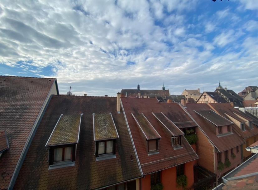 L'Ours De Colmar - Appartements En Centre Ville Экстерьер фото