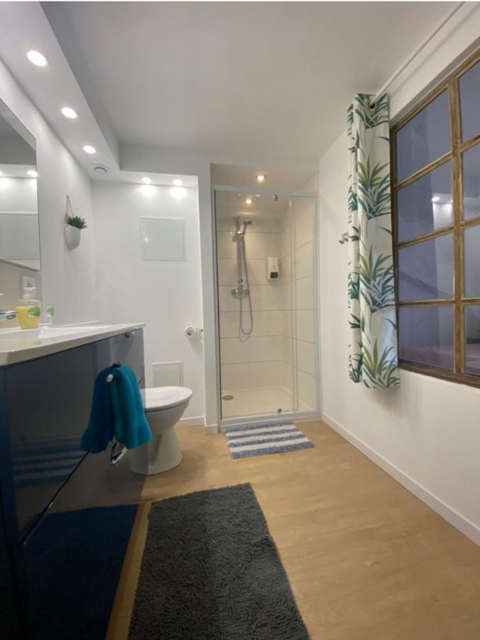 L'Ours De Colmar - Appartements En Centre Ville Экстерьер фото