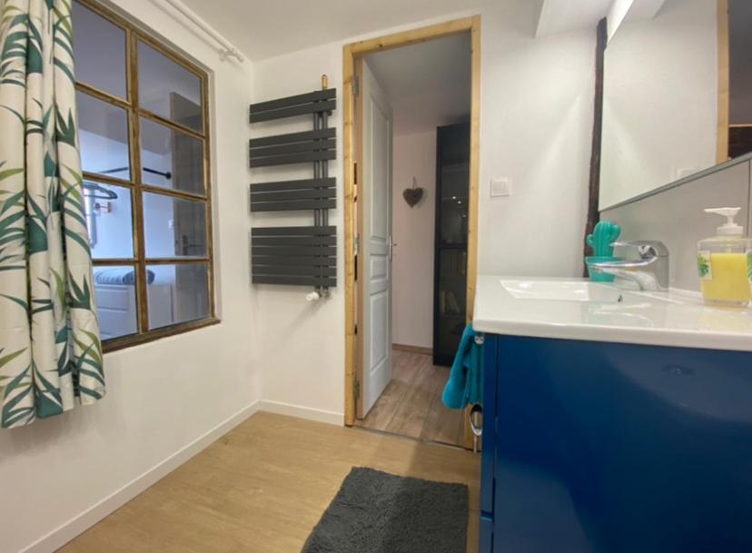 L'Ours De Colmar - Appartements En Centre Ville Экстерьер фото