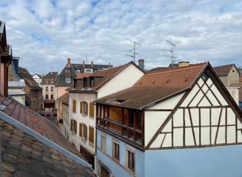 L'Ours De Colmar - Appartements En Centre Ville Экстерьер фото