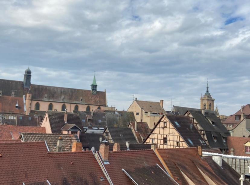 L'Ours De Colmar - Appartements En Centre Ville Экстерьер фото
