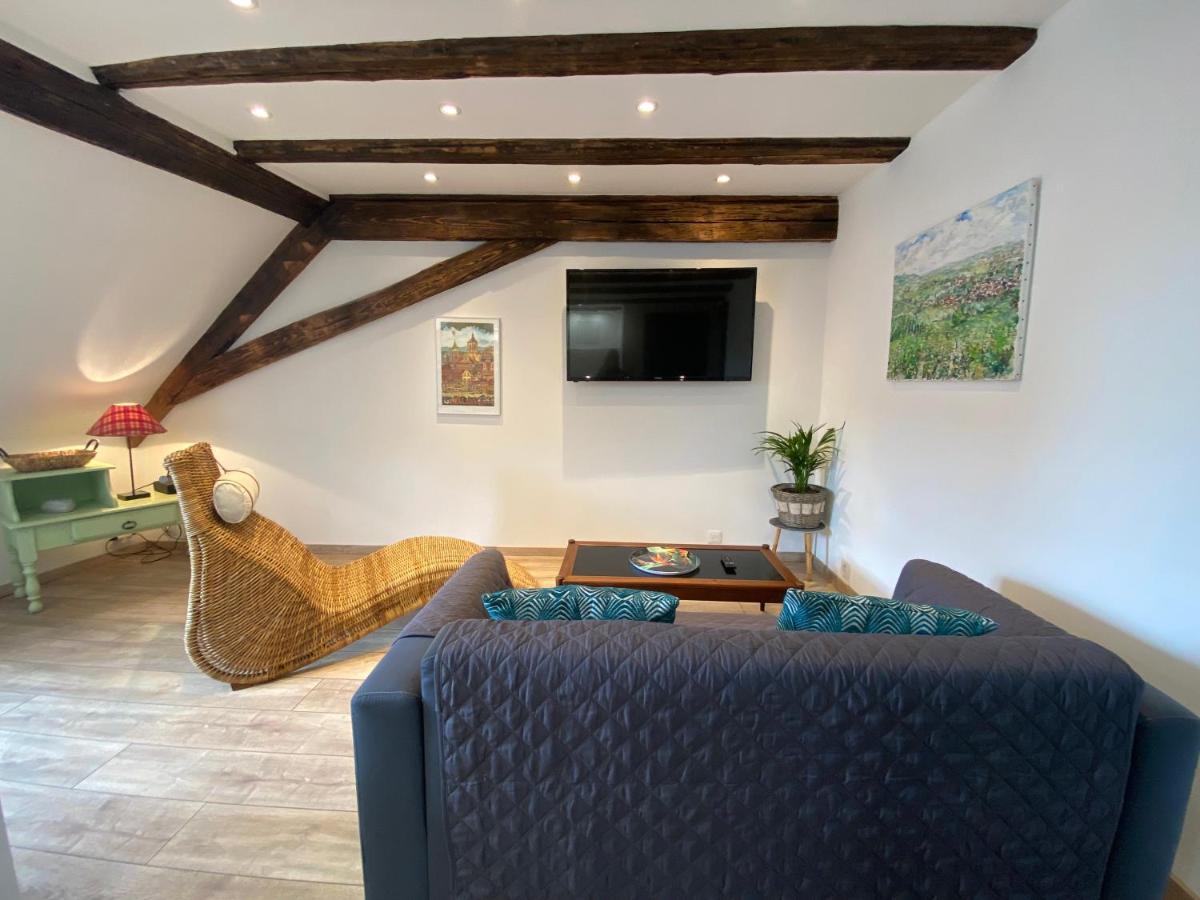 L'Ours De Colmar - Appartements En Centre Ville Экстерьер фото
