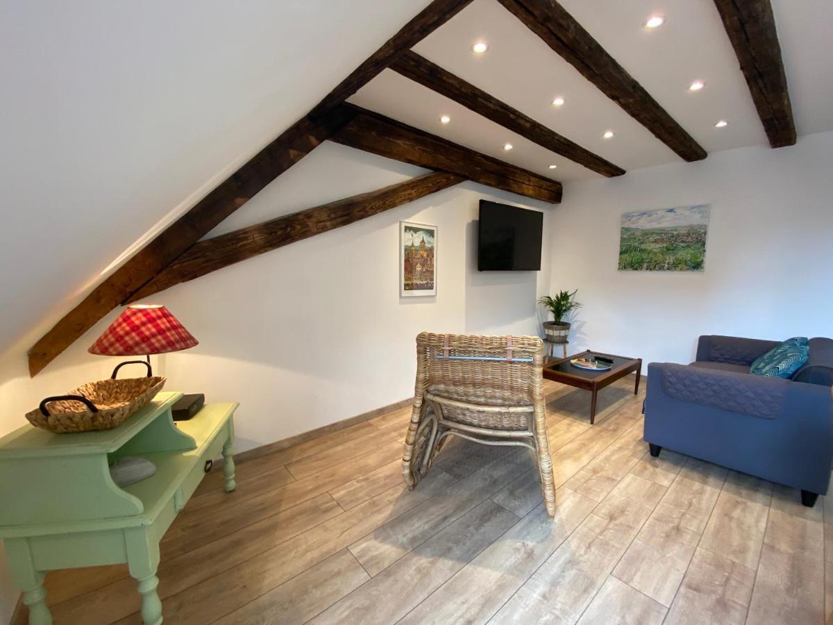 L'Ours De Colmar - Appartements En Centre Ville Экстерьер фото
