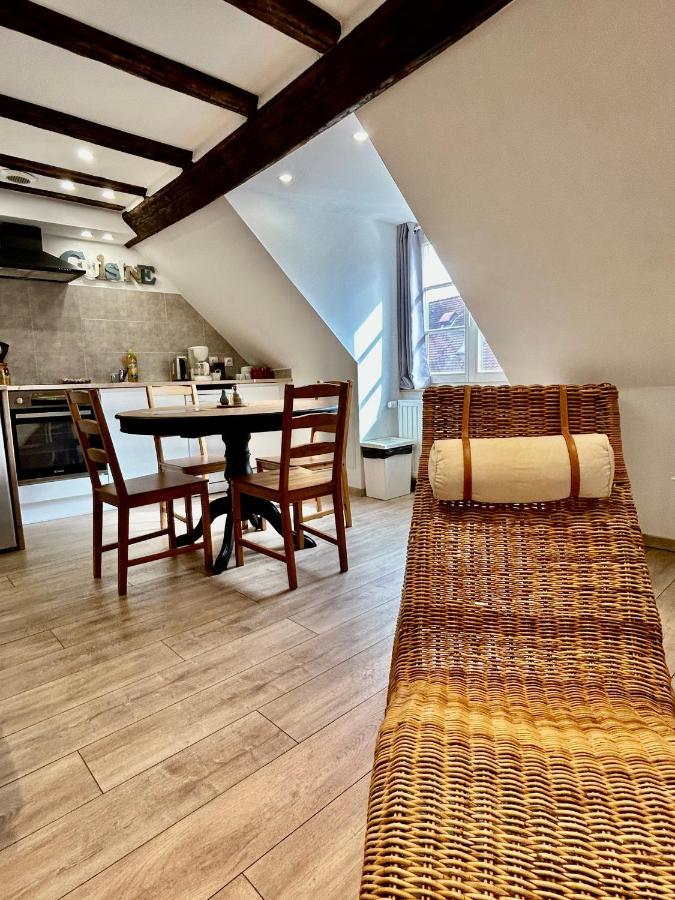 L'Ours De Colmar - Appartements En Centre Ville Экстерьер фото