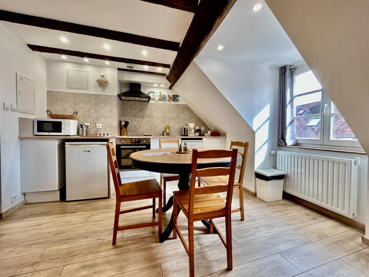 L'Ours De Colmar - Appartements En Centre Ville Экстерьер фото