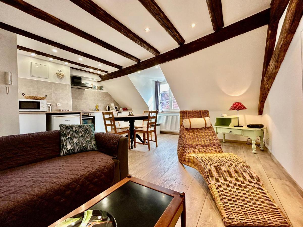 L'Ours De Colmar - Appartements En Centre Ville Экстерьер фото