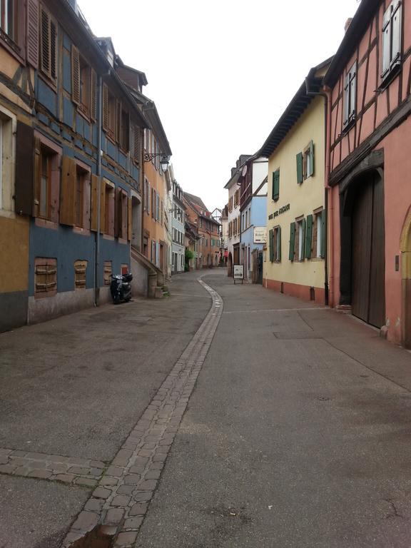 L'Ours De Colmar - Appartements En Centre Ville Экстерьер фото