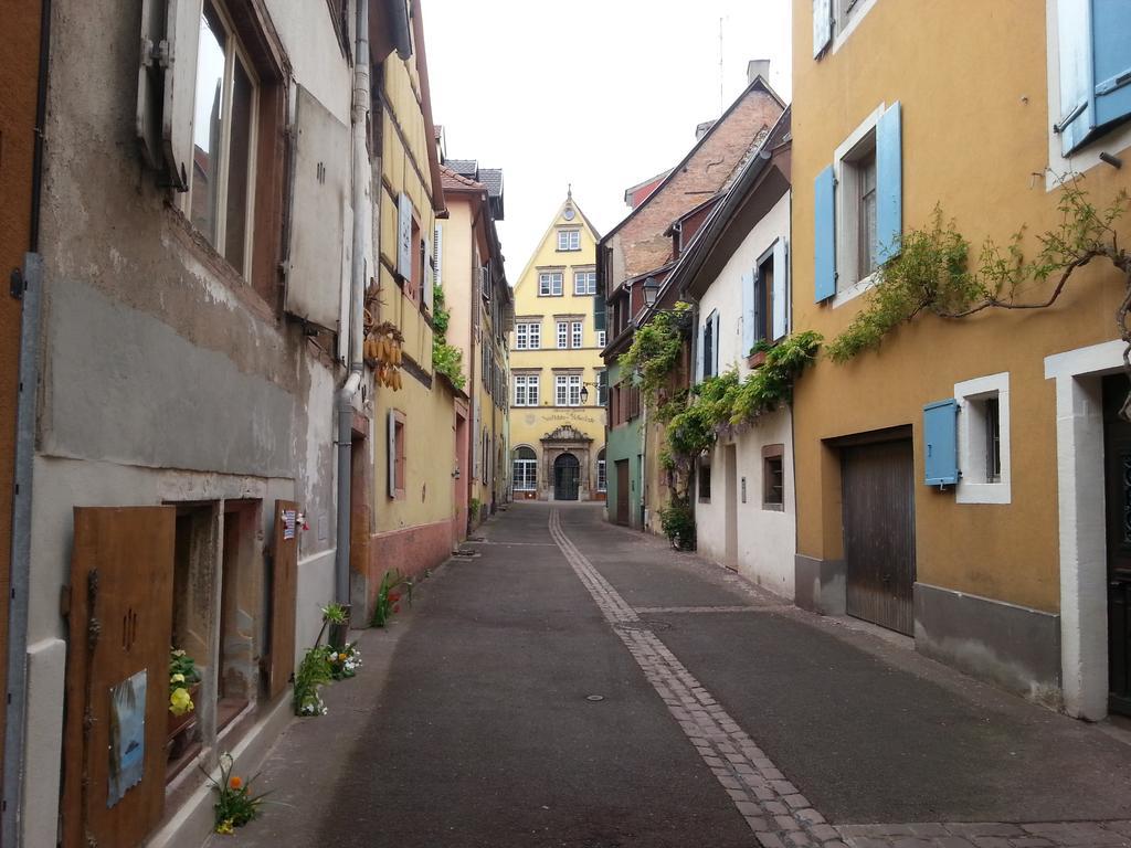 L'Ours De Colmar - Appartements En Centre Ville Экстерьер фото