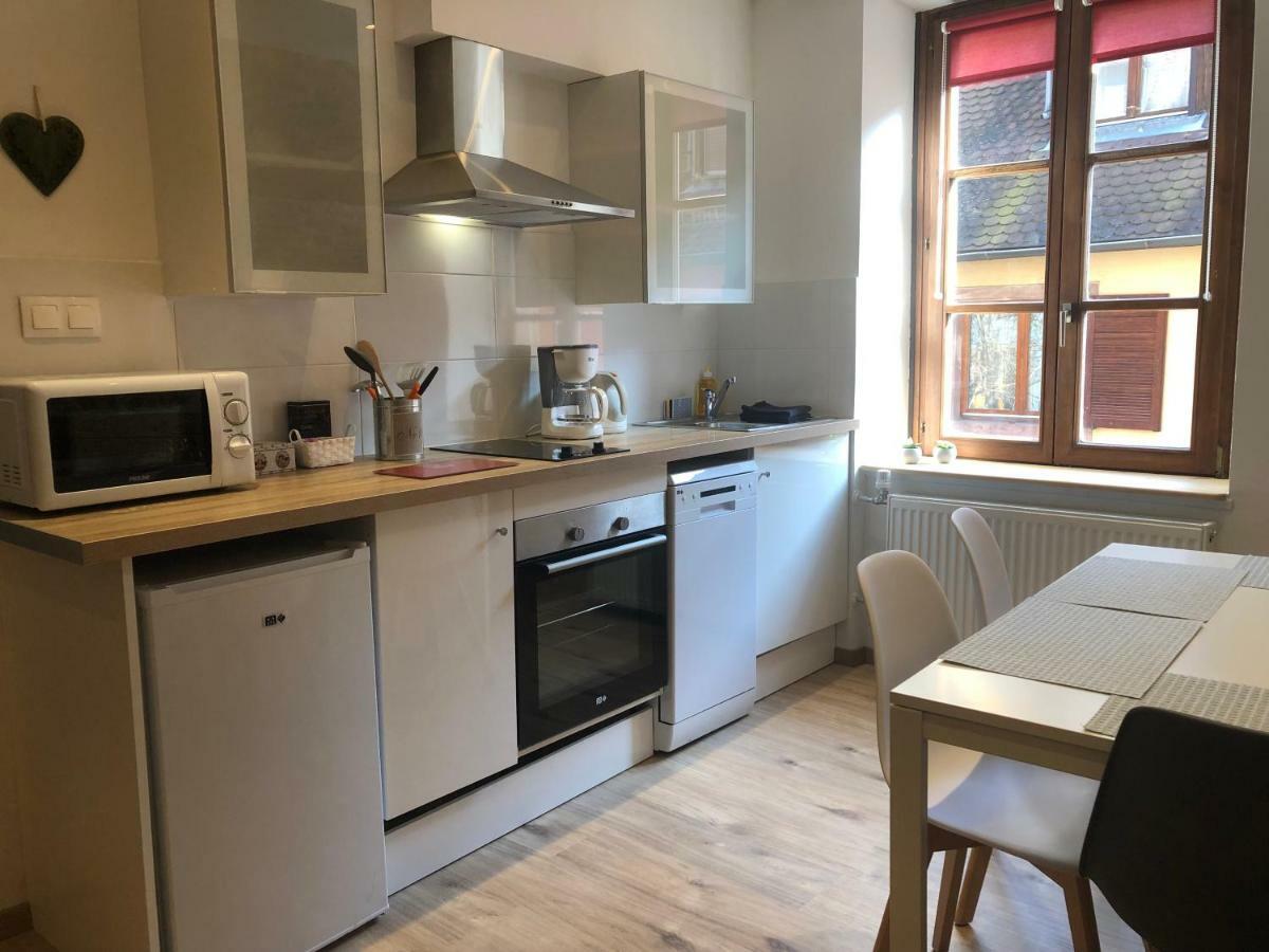 L'Ours De Colmar - Appartements En Centre Ville Экстерьер фото